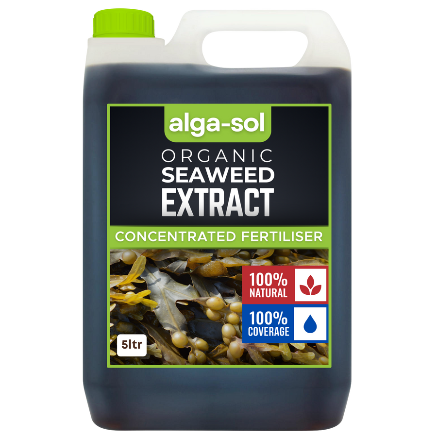 Alga-Sol™ Liquid Seaweed Extract — Cold-Press Ascophyllum Nodosum, UK Manufactured