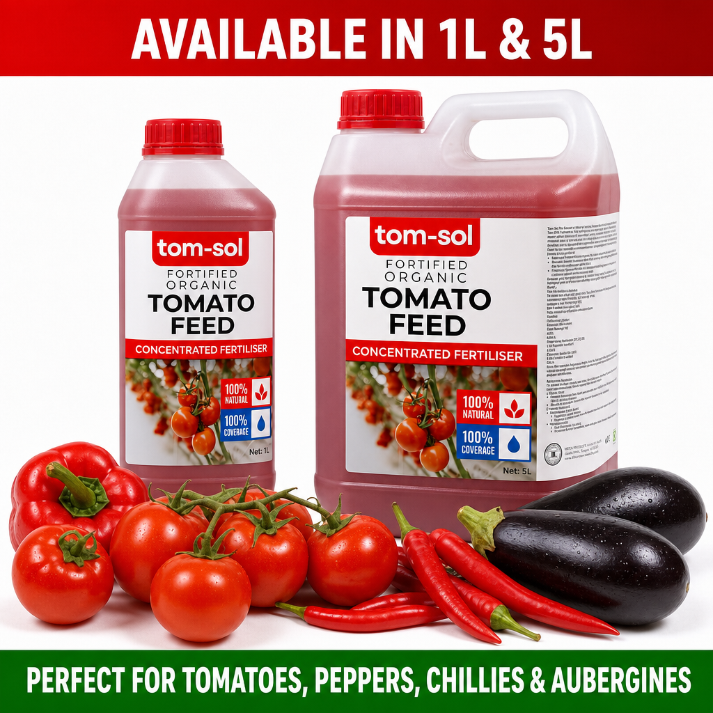 Tomato Feed