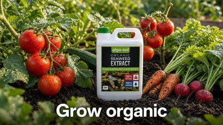 Grow organic with Alga-Sol seaweed extract — 5L jug among homegrown tomatoes, carrots and radishes in a vegetable garden