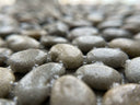 Close-up of pebbles locked together with Pro-Hold clear resin gravel binder