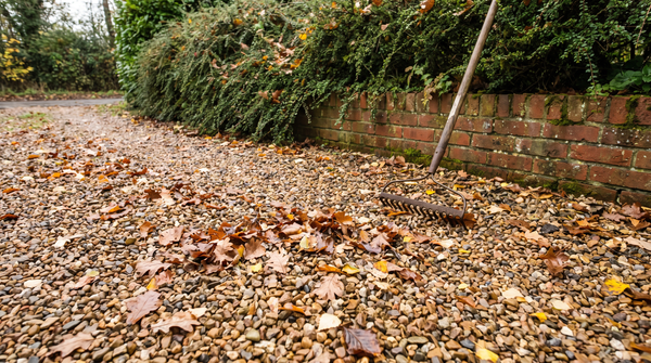Gravel driveway with leaves collecting between the stones in autumn