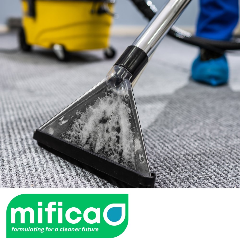 How to shampoo carpet