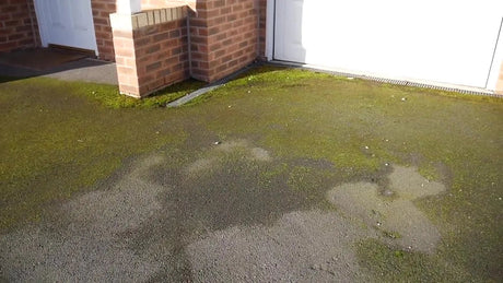 Moss Killer for Driveways