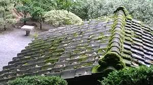 Roof Moss Removal