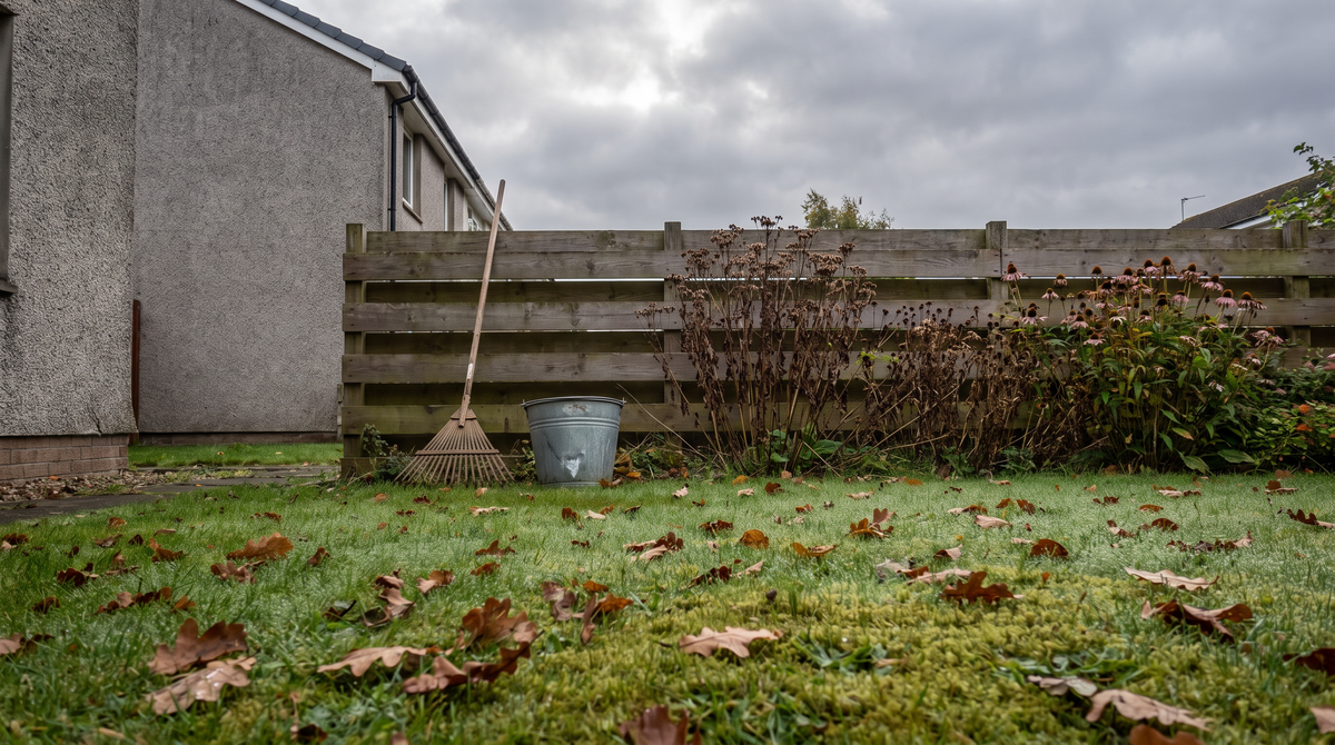 September gardening jobs UK, a Scottish back garden on a dewy late September morning