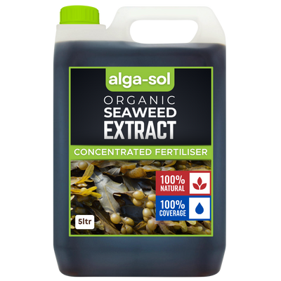 Alga-Sol Liquid Seaweed