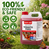 Tomato Feed