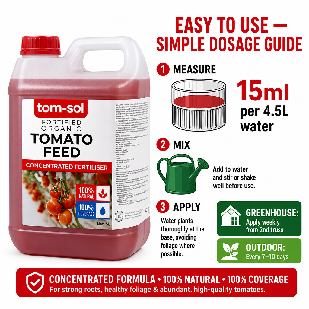 Tomato Feed
