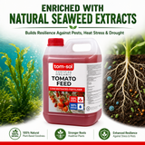 Tomato Feed