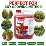 Tomato Feed