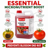 Tomato Feed