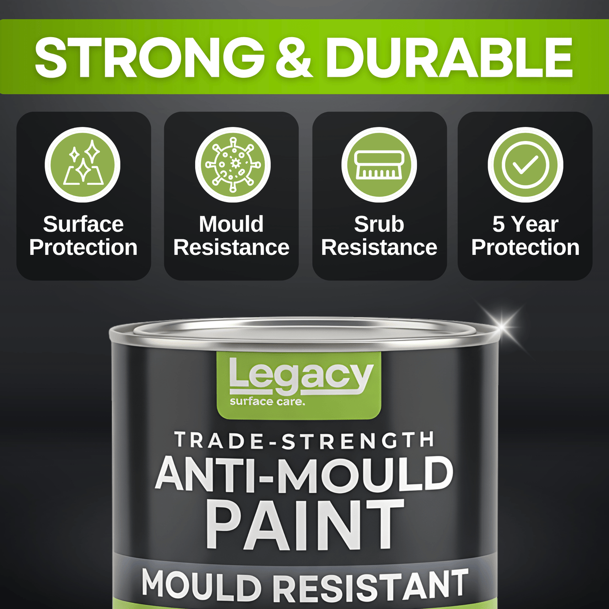 Legacy Anti Mould Paint
