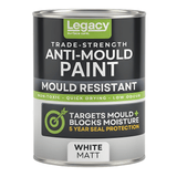 Legacy Anti Mould Paint