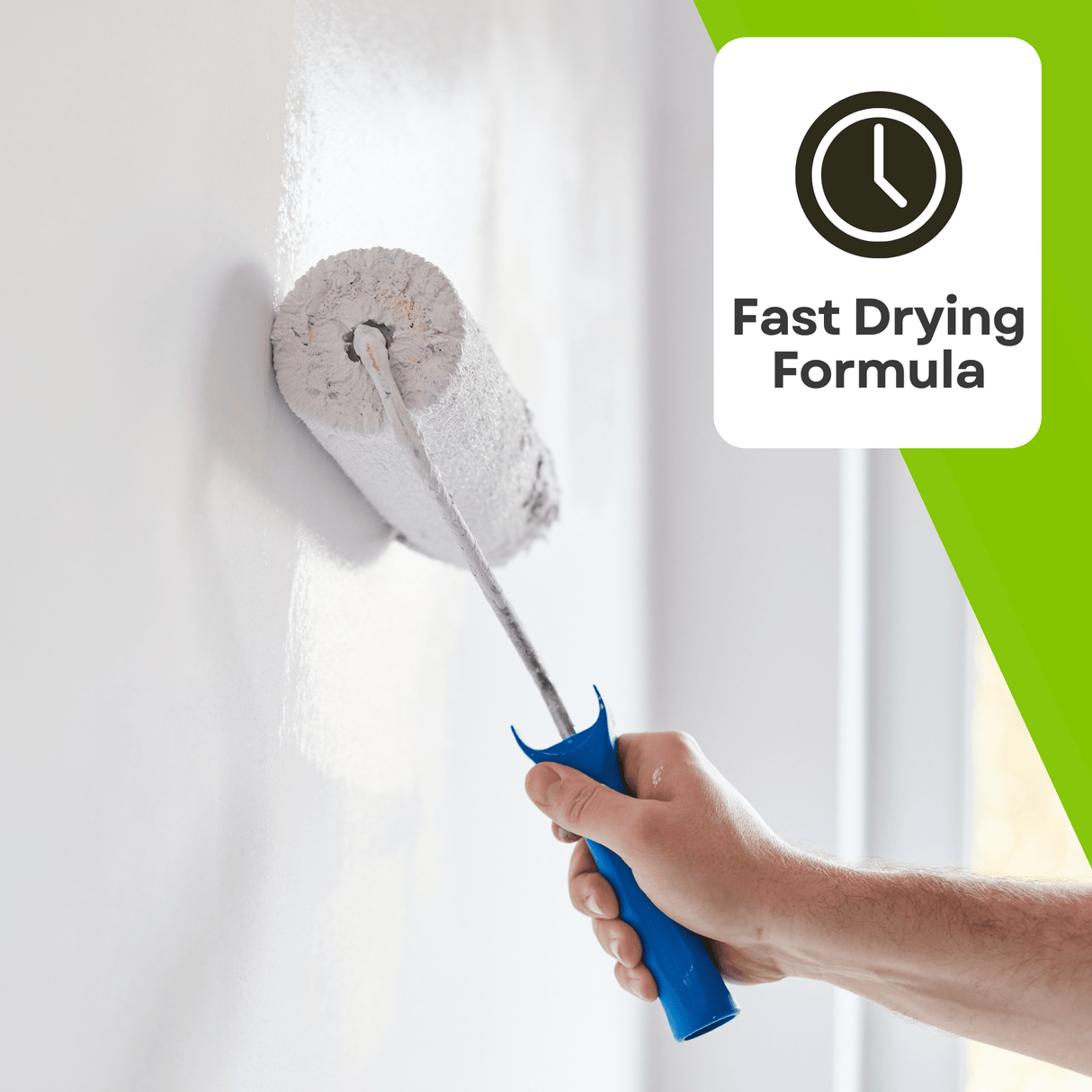 Legacy Anti Mould Paint