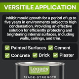 Legacy Anti Mould Paint