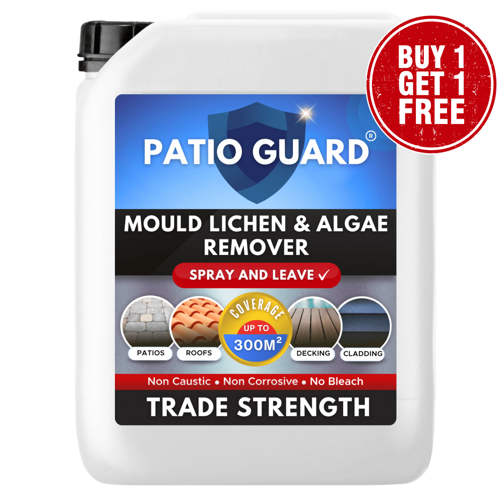 Patio Cleaner and Algae Remover