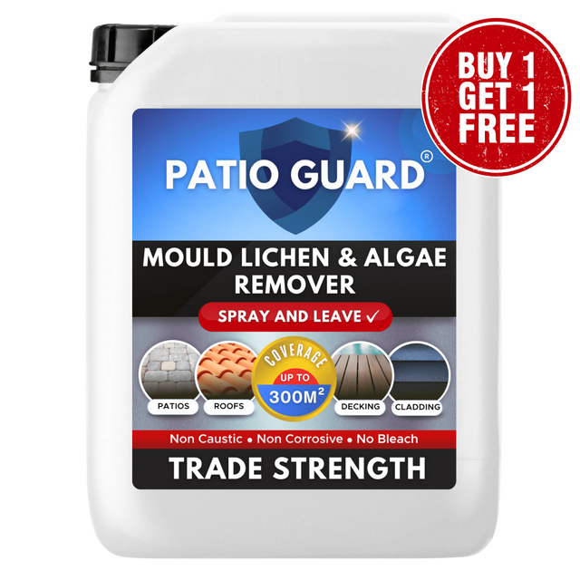 Patio Cleaner and Algae Remover