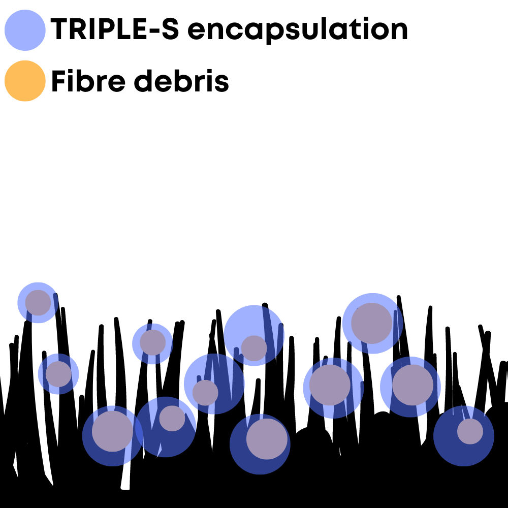 Triple-S concentrated carpet shampoo